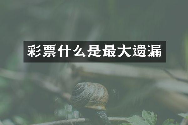 彩票什么是最大遗漏