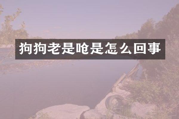 狗狗老是呛是怎么回事