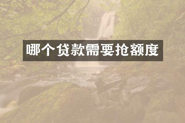 哪个贷款需要抢额度