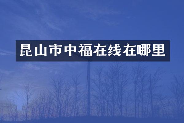 昆山市中福在线在哪里