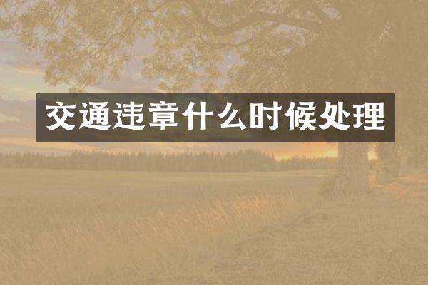交通违章什么时候处理