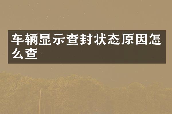 车辆显示查封状态原因怎么查