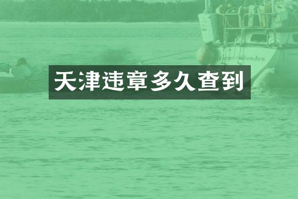 天津违章多久查到