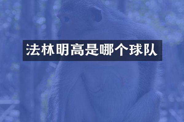 法林明高是哪个球队