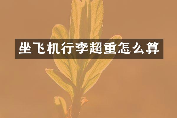 坐飞机行李超重怎么算