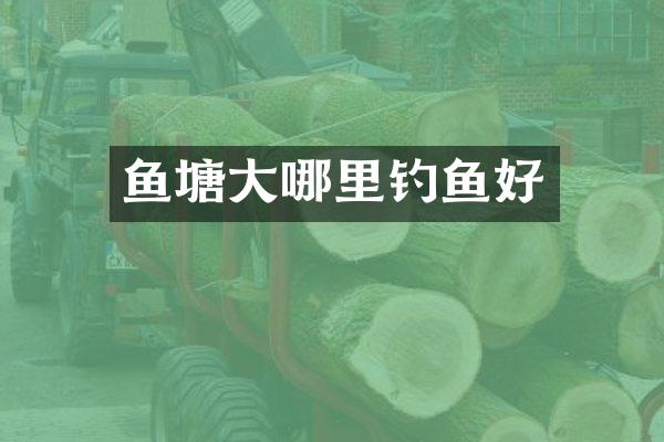 鱼塘大哪里钓鱼好