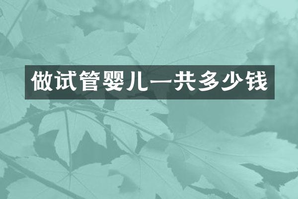 做试管婴儿一共多少钱