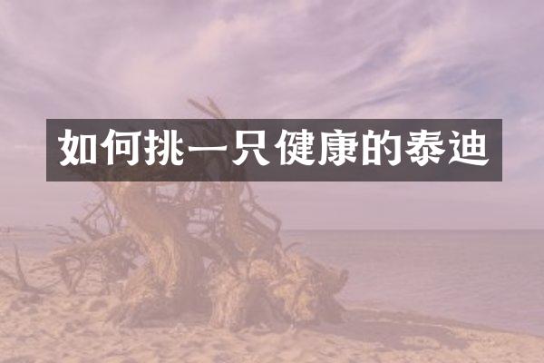 如何挑一只健康的泰迪