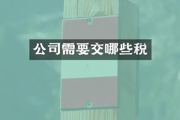 公司需要交哪些税