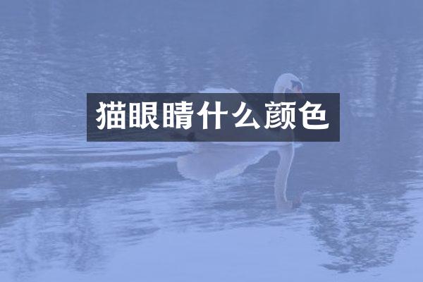 猫眼睛什么颜色