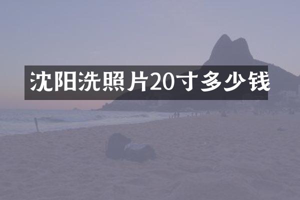 沈阳洗照片20寸多少钱