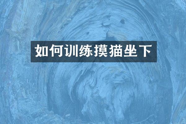如何训练摸猫坐下