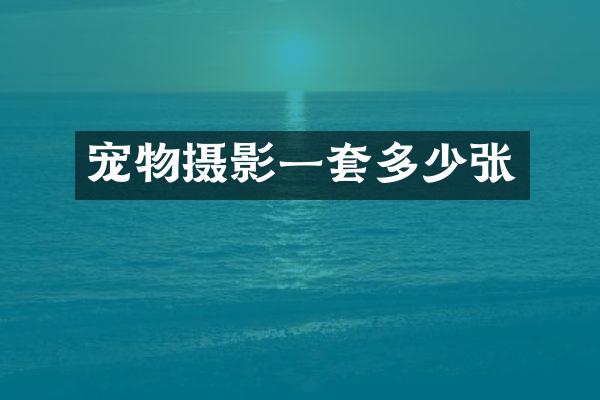 宠物摄影一套多少张