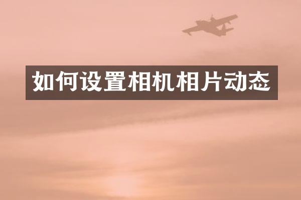 如何设置相机相片动态