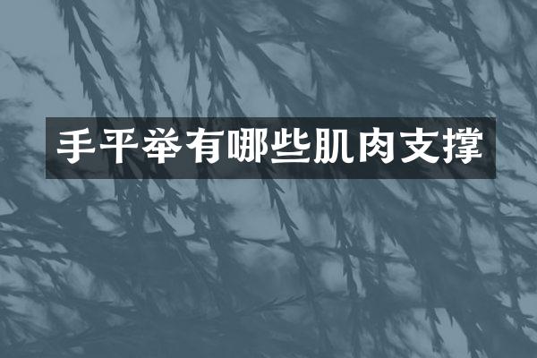 手平举有哪些肌肉支撑
