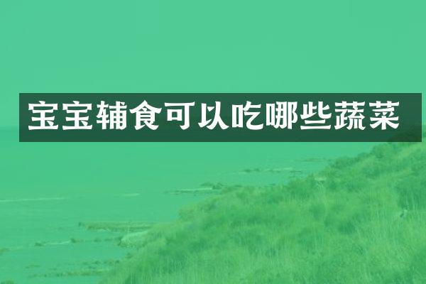 宝宝辅食可以吃哪些蔬菜