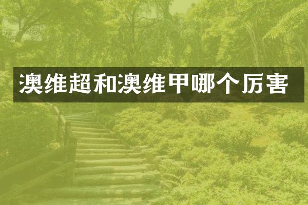 澳维超和澳维甲哪个厉害