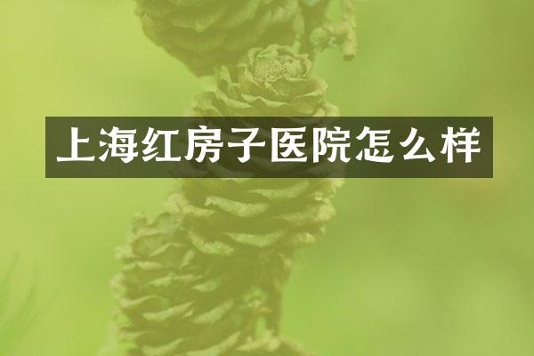 上海红房子医院怎么样