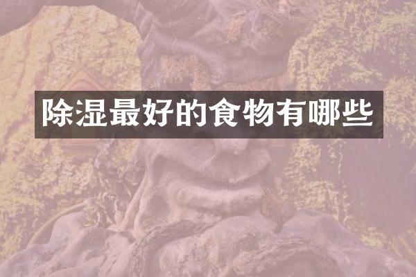 除湿最好的食物有哪些