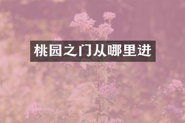 桃园之门从哪里进