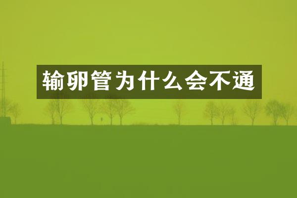 输卵管为什么会不通