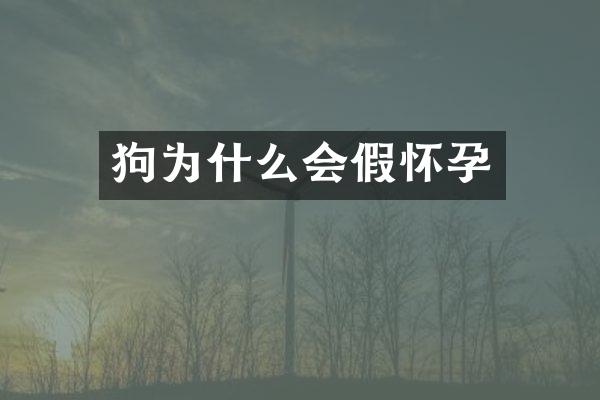 狗为什么会假怀孕