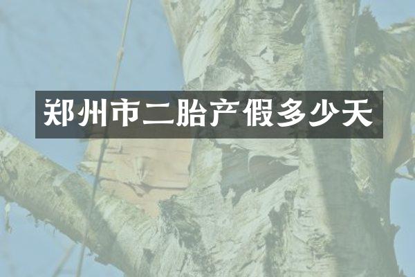 郑州市二胎产假多少天