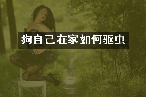 狗自己在家如何驱虫