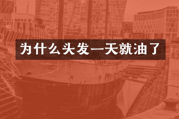 为什么头发一天就油了