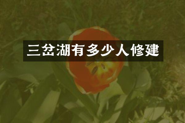 三岔湖有多少人修建