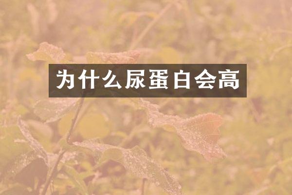 为什么尿蛋白会高