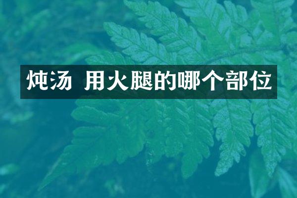 炖汤 用火腿的哪个部位