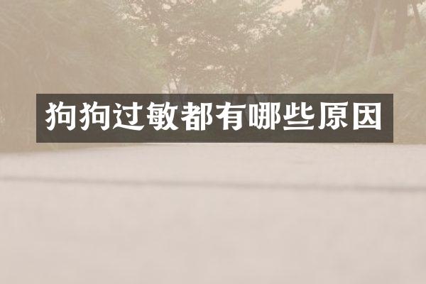 狗狗过敏都有哪些原因