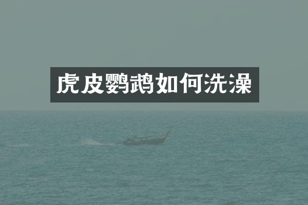 虎皮鹦鹉如何洗澡