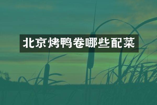 北京烤鸭卷哪些配菜