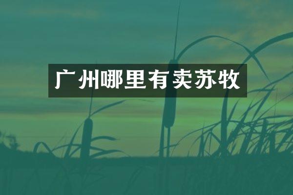 广州哪里有卖苏牧