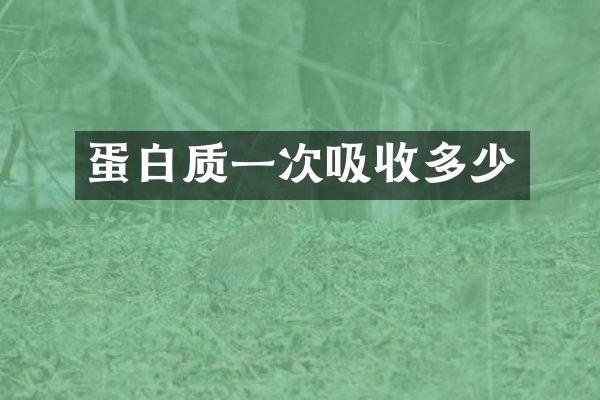 蛋白质一次吸收多少