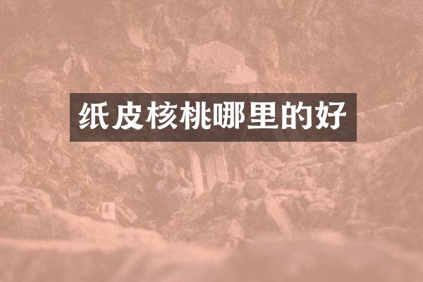 纸皮核桃哪里的好