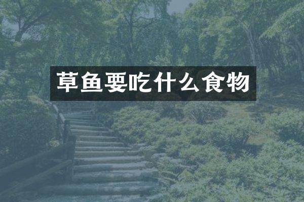 草鱼要吃什么食物