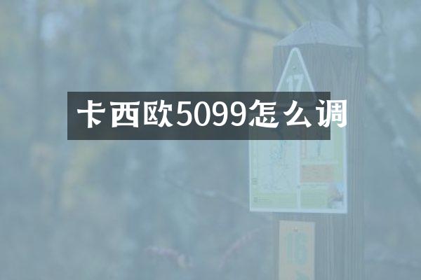 卡西欧5099怎么调