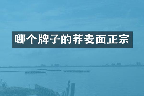 哪个牌子的荞麦面正宗