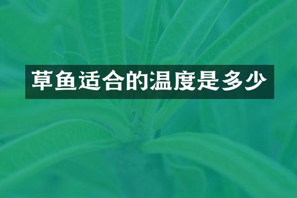 草鱼适合的温度是多少