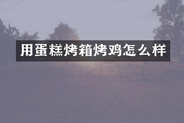 用蛋糕烤箱烤鸡怎么样