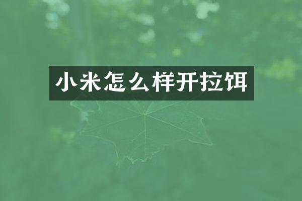 小米怎么样开拉饵