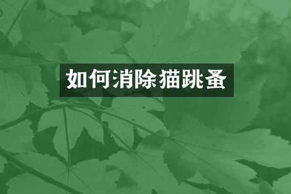 如何消除猫跳蚤