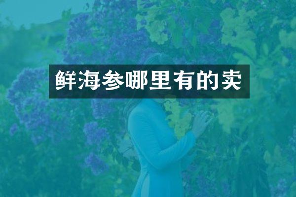 鲜海参哪里有的卖
