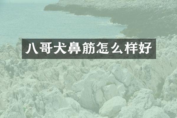 八哥犬鼻筋怎么样好