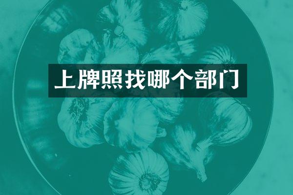 上牌照找哪个部门