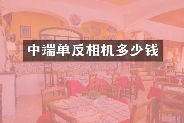 中端单反相机多少钱