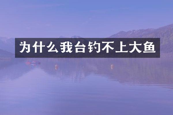 为什么我台钓不上大鱼